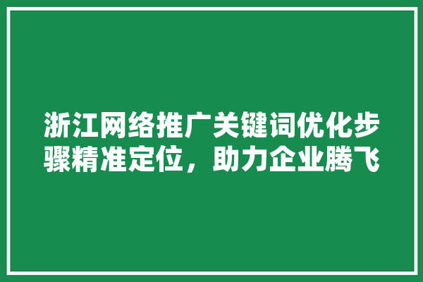 浙江网络推广关键词优化步骤精准定位，助力企业腾飞