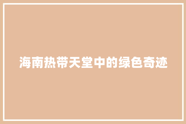海南热带天堂中的绿色奇迹