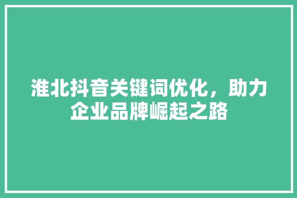 淮北抖音关键词优化，助力企业品牌崛起之路