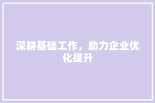 深耕基础工作，助力企业优化提升