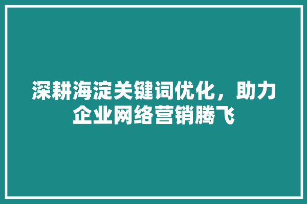 深耕海淀关键词优化，助力企业网络营销腾飞