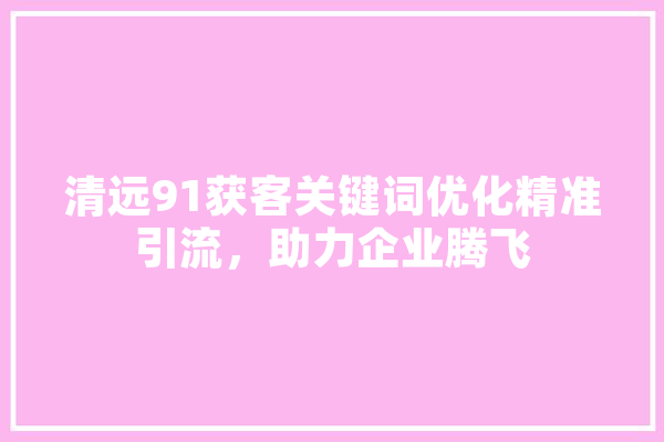 清远91获客关键词优化精准引流，助力企业腾飞