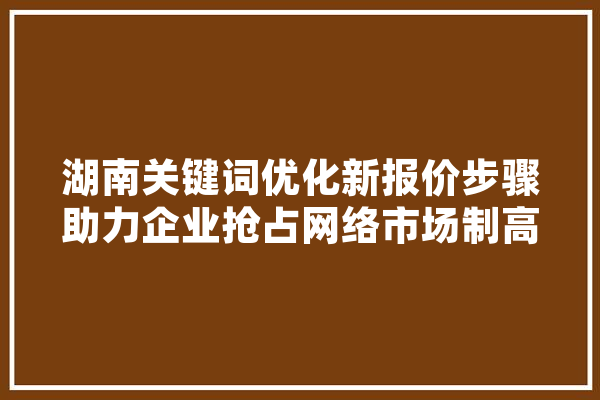 湖南关键词优化新报价步骤助力企业抢占网络市场制高点