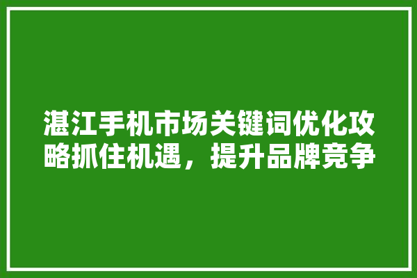 湛江手机市场关键词优化攻略抓住机遇，提升品牌竞争力