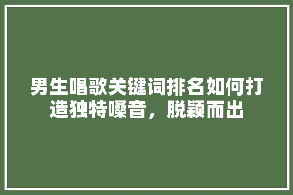 男生唱歌关键词排名如何打造独特嗓音，脱颖而出