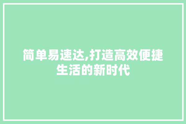 简单易速达,打造高效便捷生活的新时代