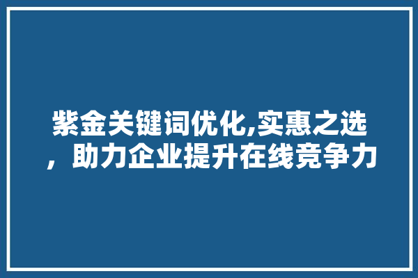 紫金关键词优化,实惠之选，助力企业提升在线竞争力