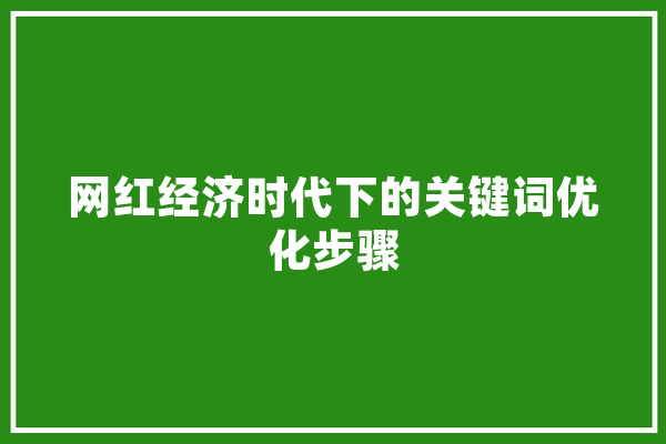 网红经济时代下的关键词优化步骤