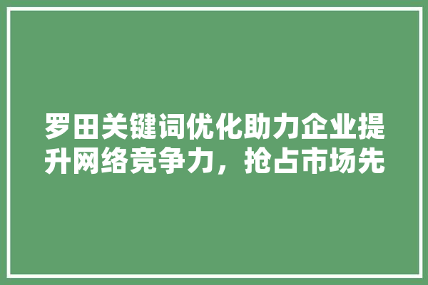 罗田关键词优化助力企业提升网络竞争力，抢占市场先机