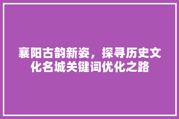 襄阳古韵新姿，探寻历史文化名城关键词优化之路