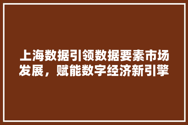 上海数据引领数据要素市场发展，赋能数字经济新引擎
