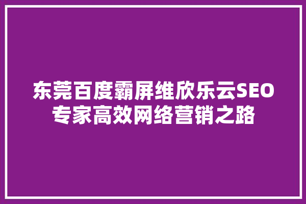 东莞百度霸屏维欣乐云SEO专家高效网络营销之路