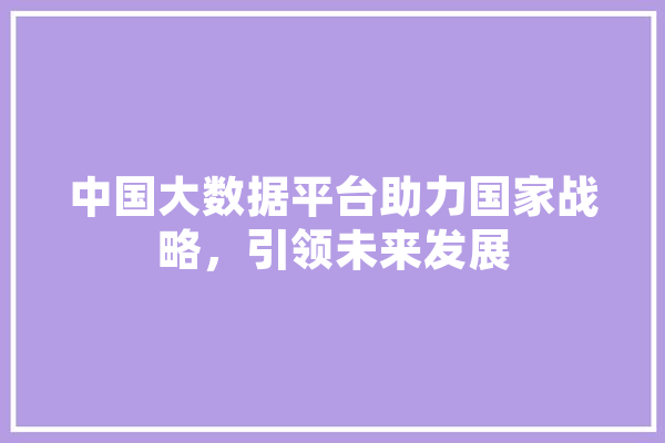 中国大数据平台助力国家战略，引领未来发展