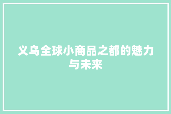 义乌全球小商品之都的魅力与未来 计算机