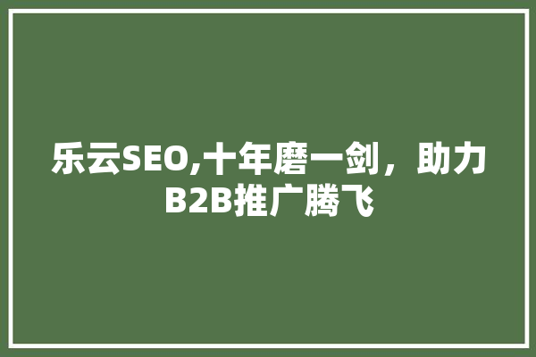 乐云SEO,十年磨一剑，助力B2B推广腾飞