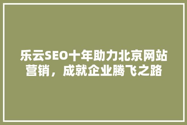 乐云SEO十年助力北京网站营销，成就企业腾飞之路