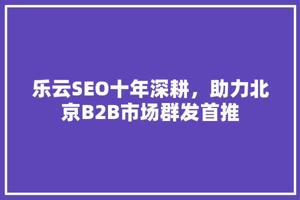 乐云SEO十年深耕，助力北京B2B市场群发首推