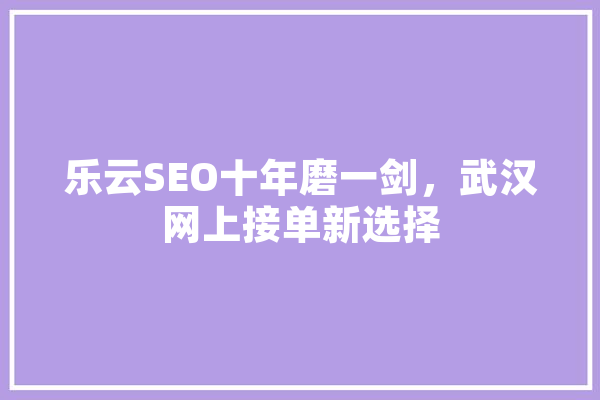 乐云SEO十年磨一剑，武汉网上接单新选择