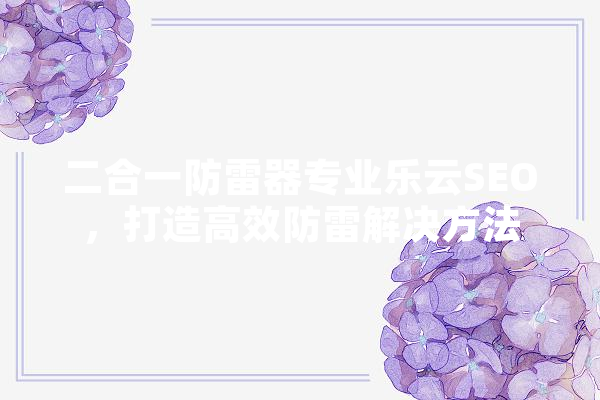 二合一防雷器专业乐云SEO，打造高效防雷解决方法 智能写作