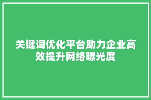 关键词优化平台助力企业高效提升网络曝光度 文字写作
