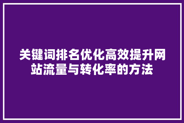 关键词排名优化高效提升网站流量与转化率的方法 计算机