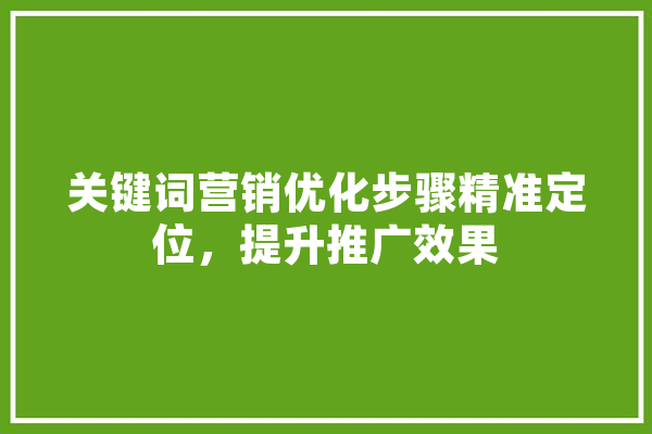 关键词营销优化步骤精准定位，提升推广效果 智能助手
