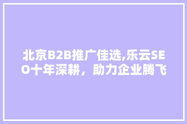 北京B2B推广佳选,乐云SEO十年深耕，助力企业腾飞 AI简讯