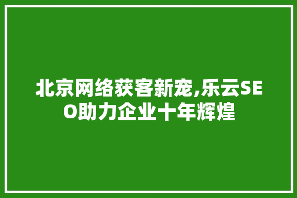 北京网络获客新宠,乐云SEO助力企业十年辉煌
