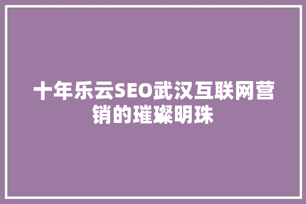 十年乐云SEO武汉互联网营销的璀璨明珠 云服务