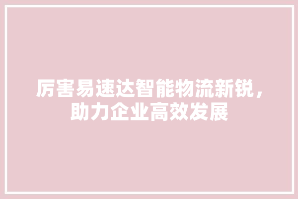 厉害易速达智能物流新锐，助力企业高效发展
