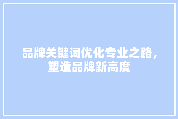 品牌关键词优化专业之路，塑造品牌新高度