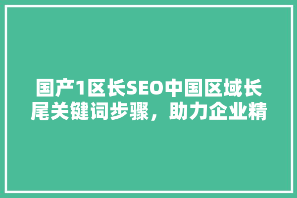国产1区长SEO中国区域长尾关键词步骤，助力企业精准营销