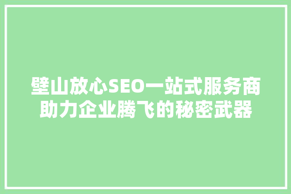 壁山放心SEO一站式服务商助力企业腾飞的秘密武器