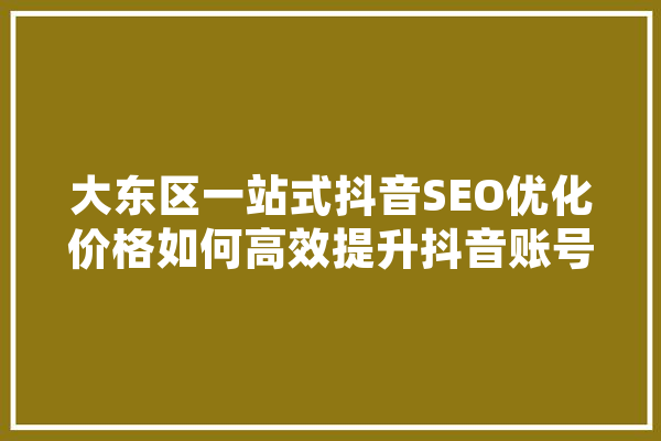 大东区一站式抖音SEO优化价格如何高效提升抖音账号曝光率