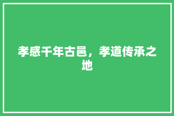 孝感千年古邑，孝道传承之地