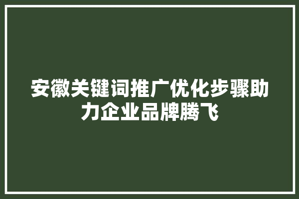 安徽关键词推广优化步骤助力企业品牌腾飞