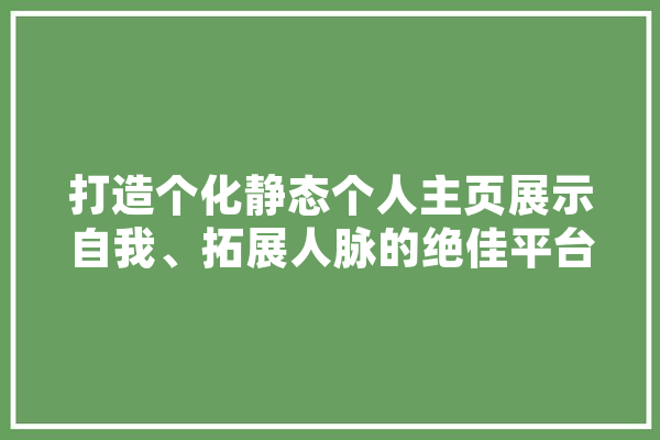 打造个化静态个人主页展示自我、拓展人脉的绝佳平台