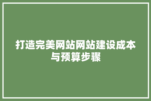 打造完美网站网站建设成本与预算步骤