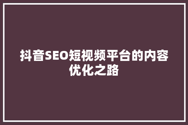 抖音SEO短视频平台的内容优化之路 文字写作