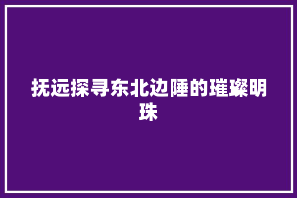 抚远探寻东北边陲的璀璨明珠 AI简讯