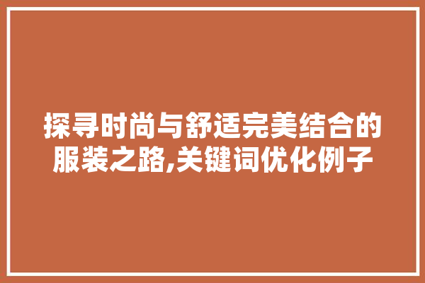 探寻时尚与舒适完美结合的服装之路,关键词优化例子分析