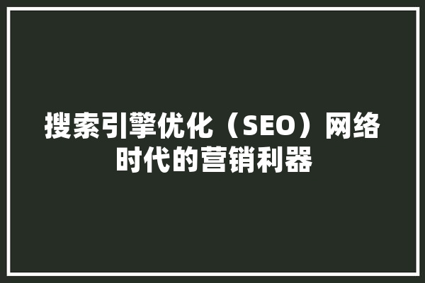 搜索引擎优化（SEO）网络时代的营销利器