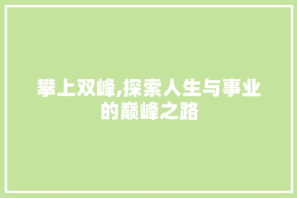攀上双峰,探索人生与事业的巅峰之路 绘影字幕