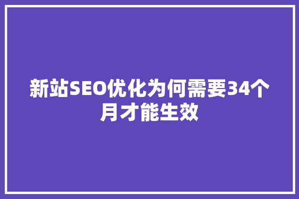 新站SEO优化为何需要34个月才能生效