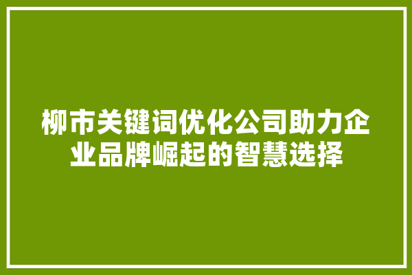 柳市关键词优化公司助力企业品牌崛起的智慧选择