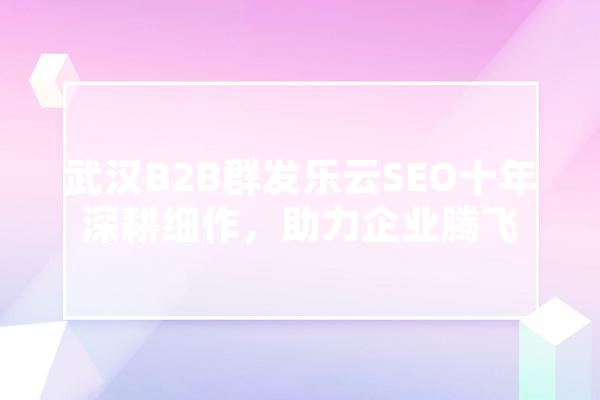 武汉B2B群发乐云SEO十年深耕细作，助力企业腾飞