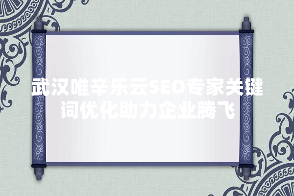 武汉唯辛乐云SEO专家关键词优化助力企业腾飞