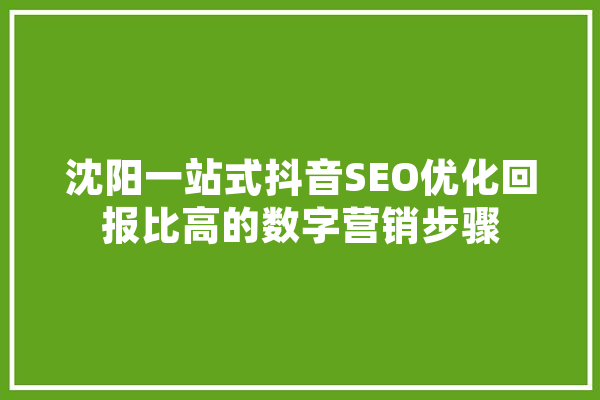 沈阳一站式抖音SEO优化回报比高的数字营销步骤 智能写作