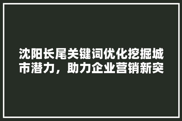 沈阳长尾关键词优化挖掘城市潜力，助力企业营销新突破