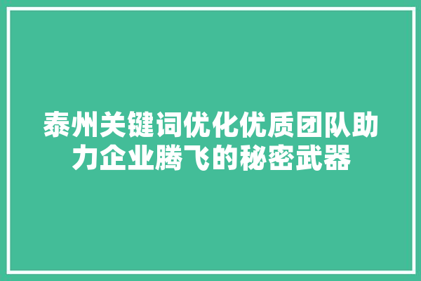 泰州关键词优化优质团队助力企业腾飞的秘密武器 智能问答